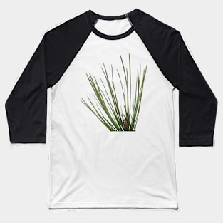 Pine needle Baseball T-Shirt